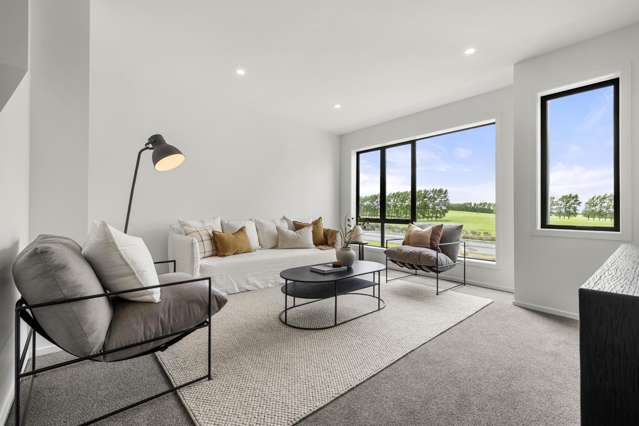 Modern Living with Room for Everyone