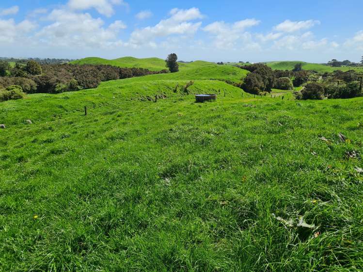 3009 Carrington Road Okato_24