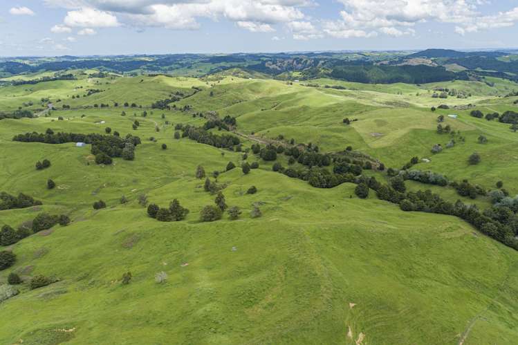 282 Taipuha Station Road Otamatea Surrounds_13