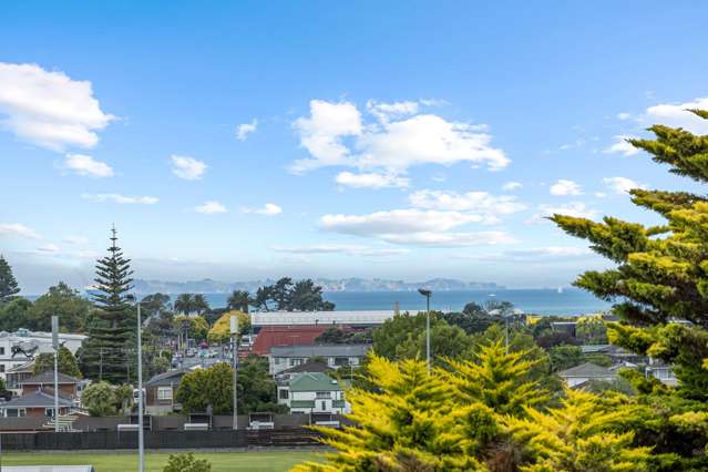 166 Stapleford Crescent Browns Bay_3