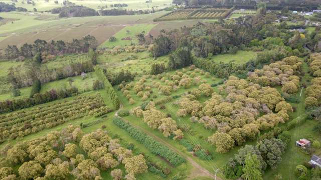 405 Tara Road Mangawhai_3