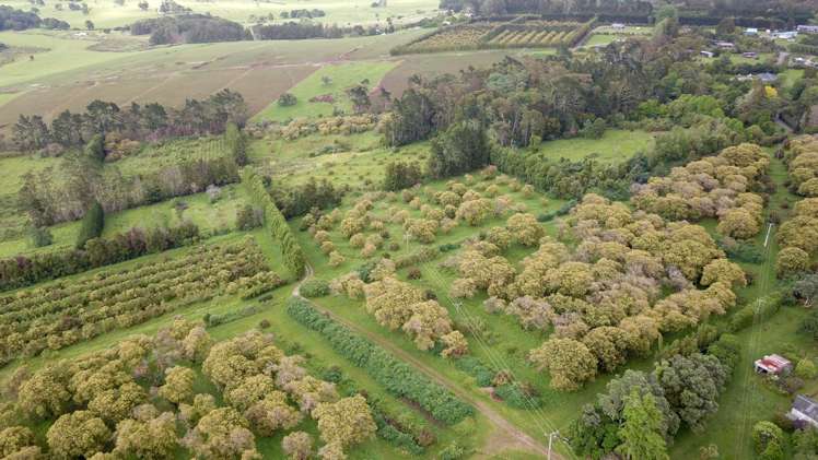 405 Tara Road Mangawhai_3