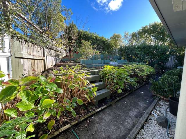 41 Holmes Drive South Massey_1