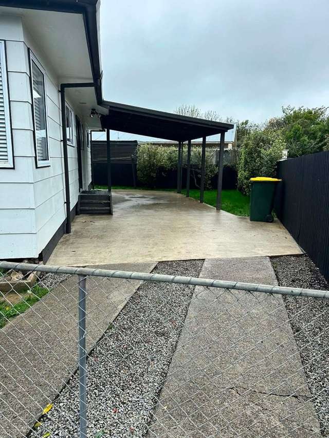 13 Guy Avenue Levin_1
