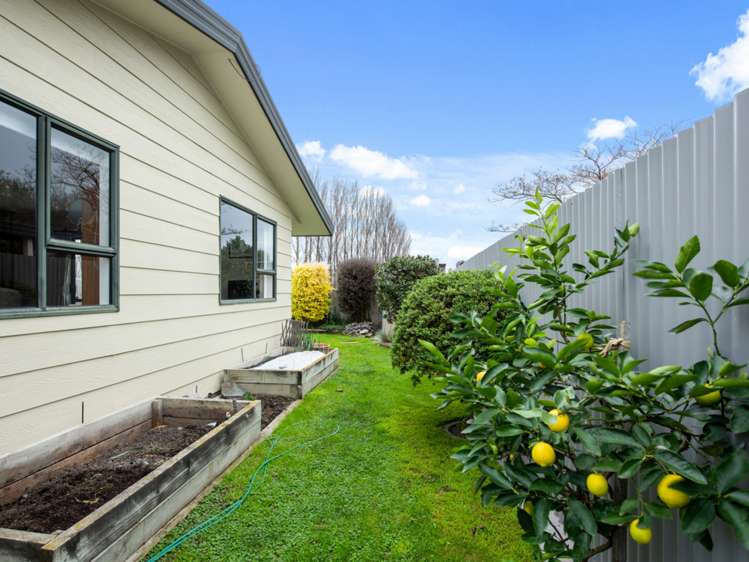 11a Mary Grace Place Blenheim Central_22