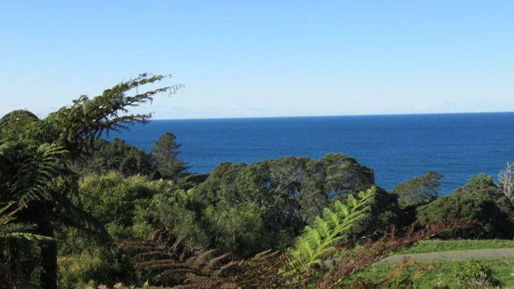 413 Onemana Drive Onemana_7