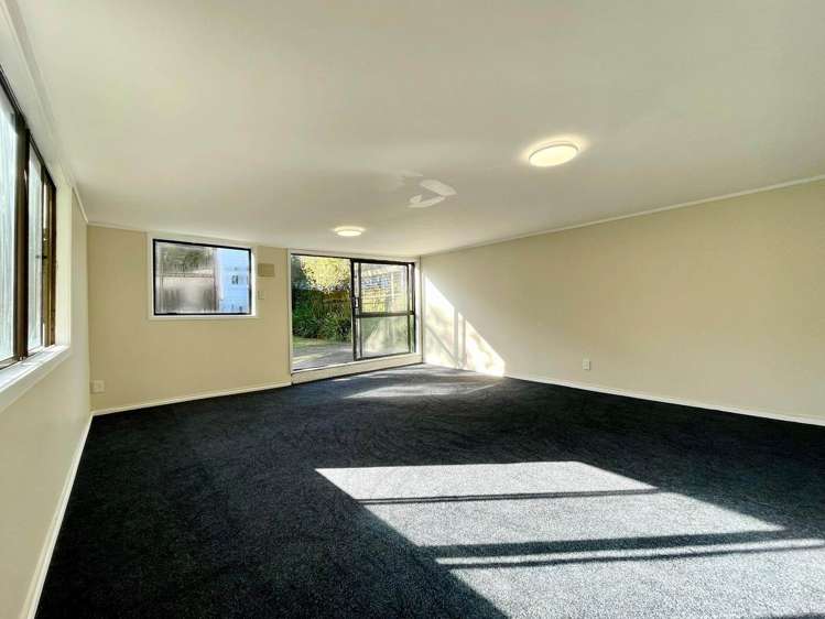 11 Commercial Road Grey Lynn_26