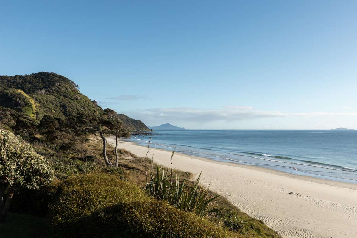 24 Tangaroa Road_1