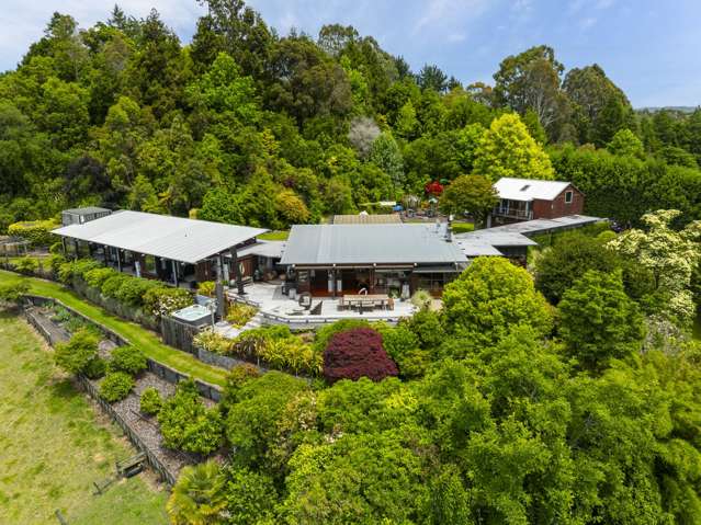 78 Acacia Heights Drive Acacia Bay_3