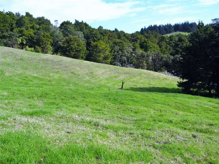 248 Swamp Road Mareretu_14