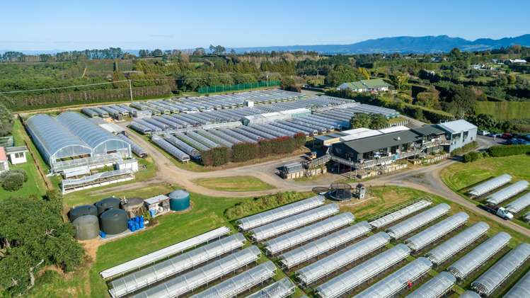 107 Ongare Point Road Katikati_6