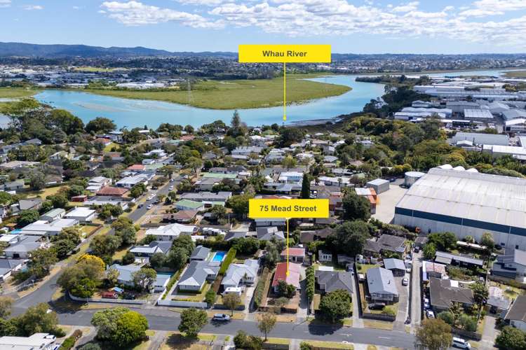 75 Mead Street Avondale_38