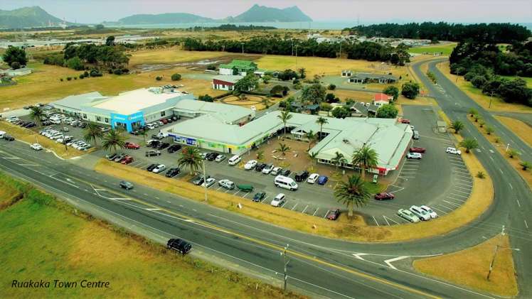 7 Peter Snell Road Ruakaka_15