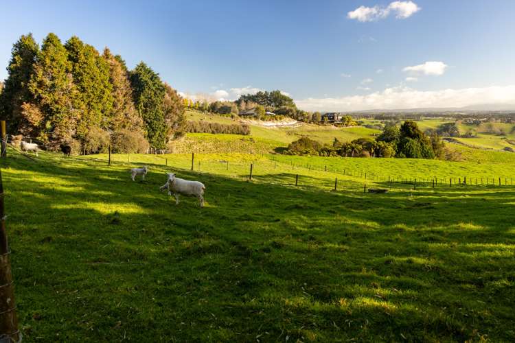 956 Upper Ohauiti Road Ohauiti_4