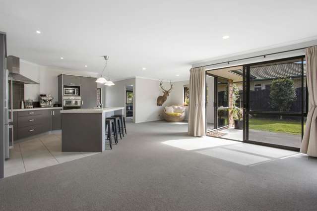 51 Wills Road Katikati_1