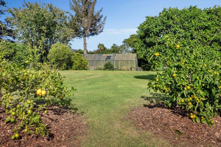 27 Donnelly Street Oakura_28