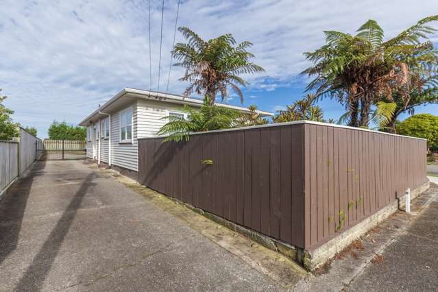 17 Marsden Street Levin_1