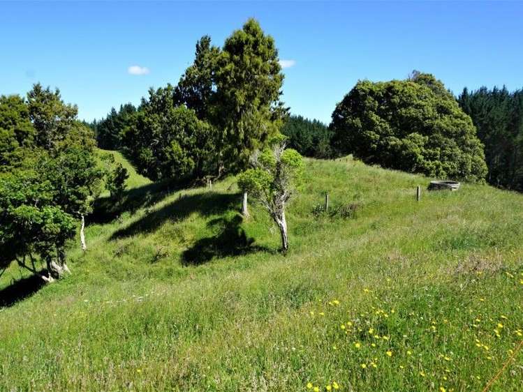 1788 Manawahe Road Manawahe_13