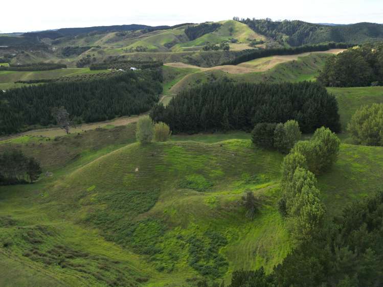 1/461 Otamarakau Valley Road Pukehina_12