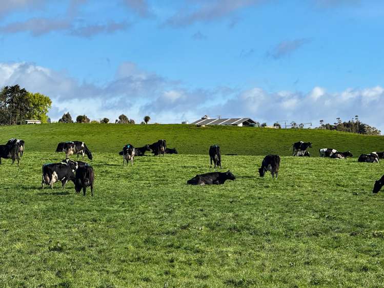 473 Clifden Gorge Road Eastern Bush_27
