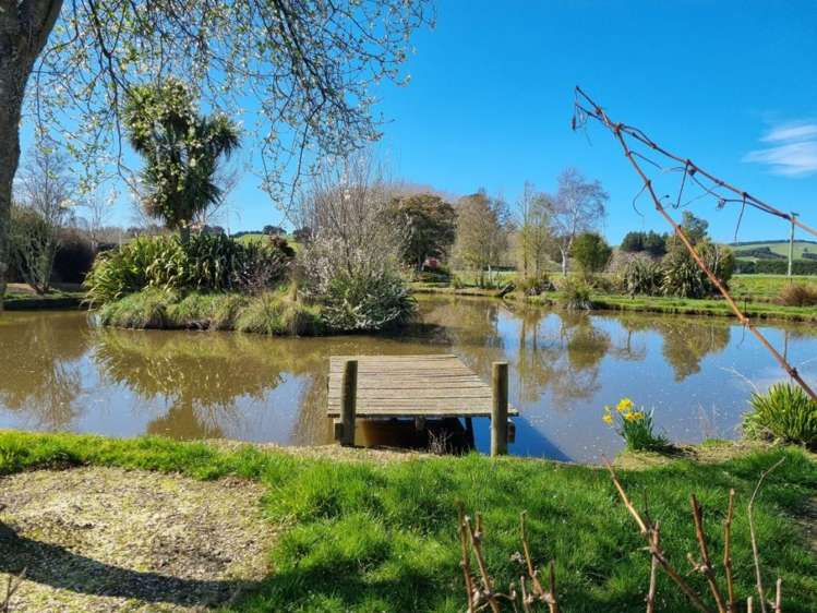 8 Old Main Road Cheviot_34