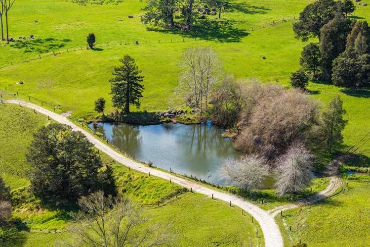 17 Coote Road Ruatangata_6