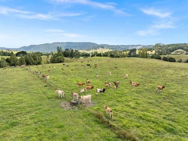 47b Mihi Road Okaihau Rd2_2