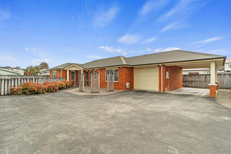 250A Park Road Te Awamutu_0