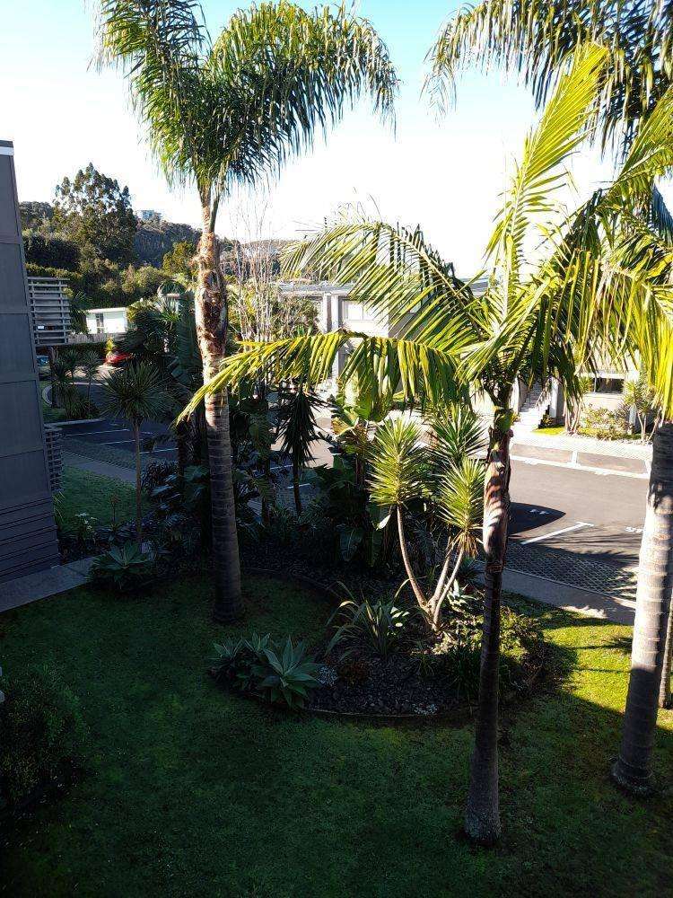 49/1 Centennial Dr Whitianga_12