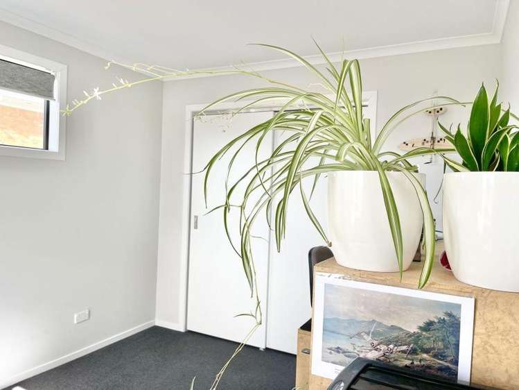 325A Cobham Drive 1076_9