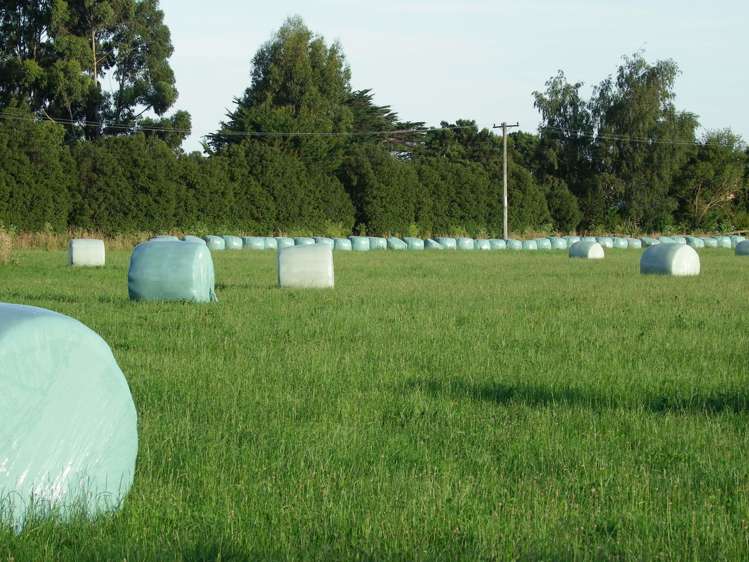 208 Schoolhouse Road Kaikoura_14