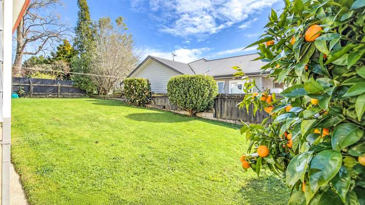 31D Elizabeth Street Matamata_5