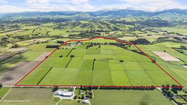 285 Paierau Road_2