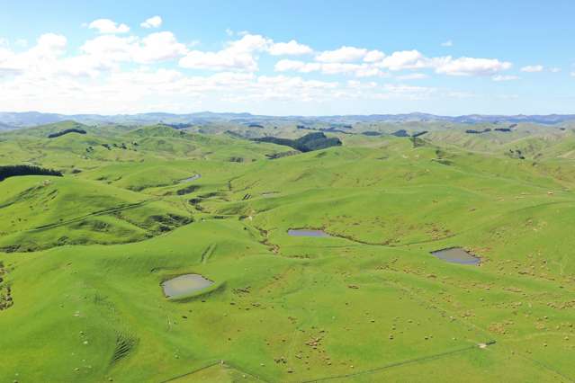 275 Akaroa Road Pongaroa_3