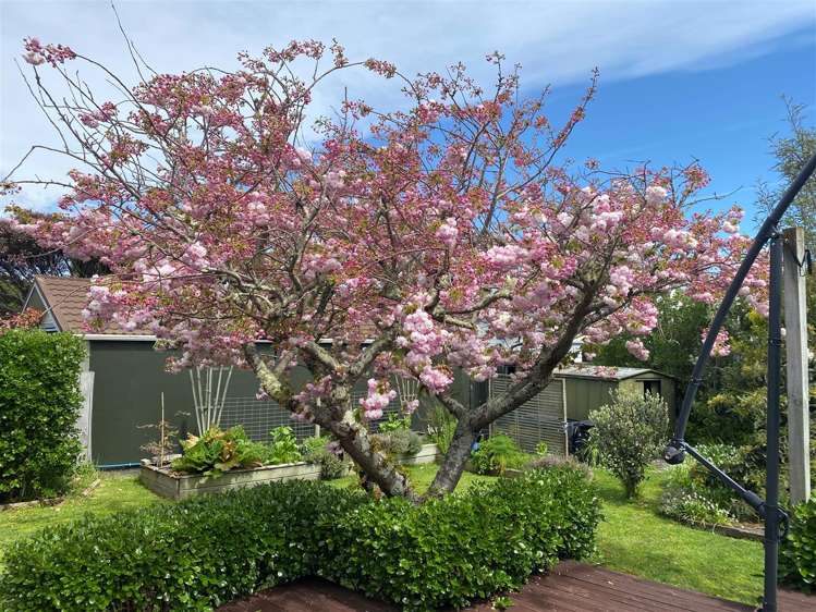 97 Point Road Monaco_16