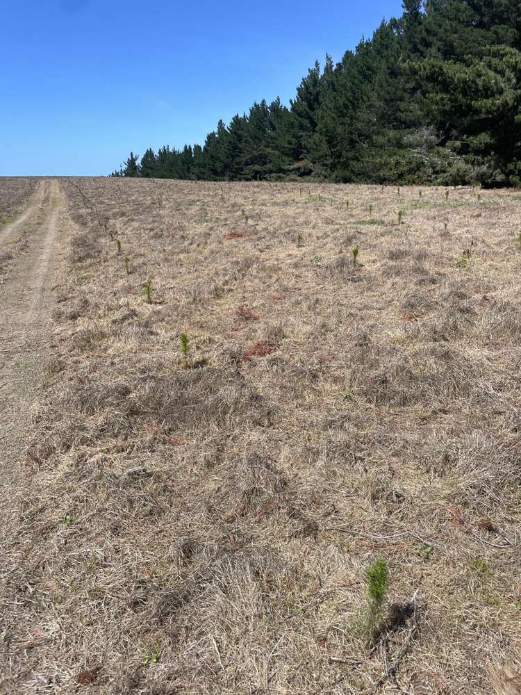 Toko Mouth Road Toko Mouth_18