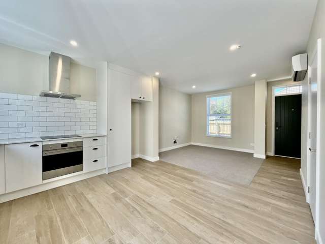 3/17 Dobson Street 10222_3