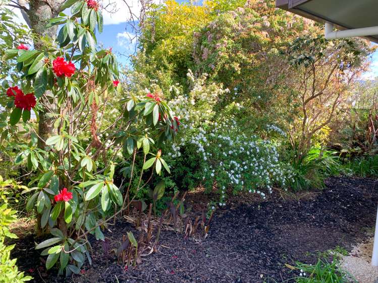 2d Feary Crescent Takaka_15