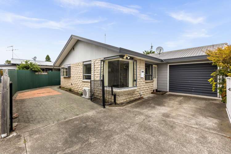 186B Guppy Road Taradale_0