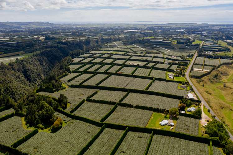 764b Te Matai Road Te Ranga_15