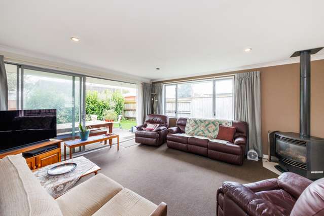 651a Featherston Street Roslyn_2