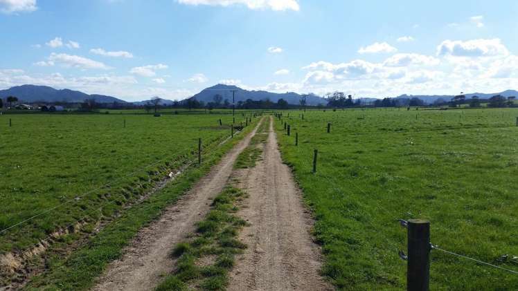 1966 Gordonton Road Taupiri_9