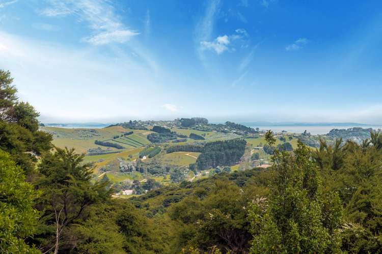 171 Carsons Road Waiheke Island_9