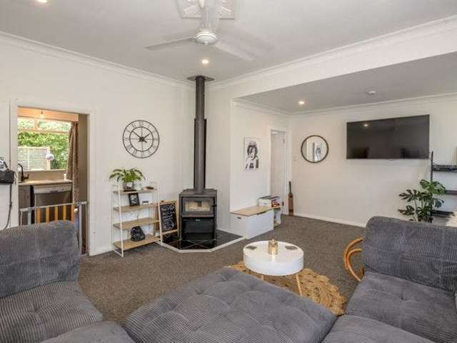 27 Wilton Street Levin_1