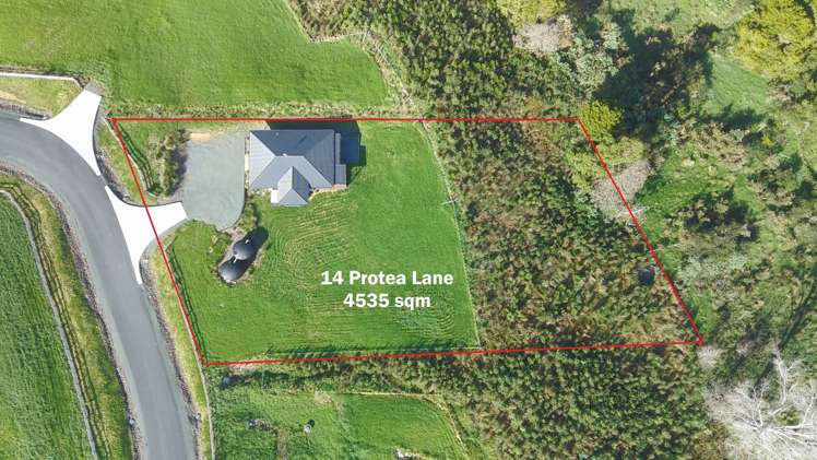 Lot 4 Protea Lane Kaiwaka_16