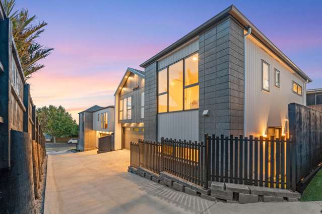 88B Norman Lesser Drive St Johns_2