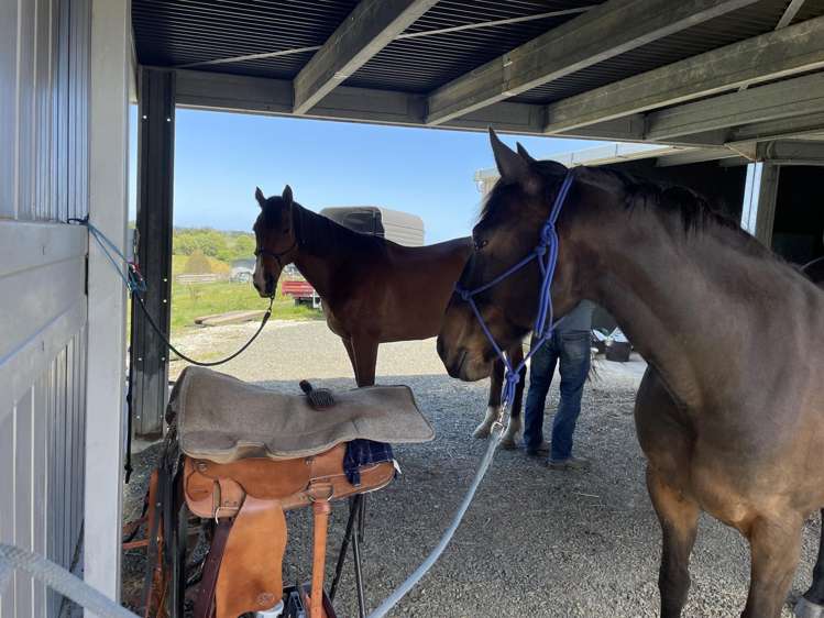 852 Oneriri Road Kaiwaka_53