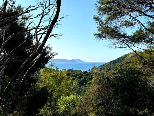 21 Primrose Hill Road Great Barrier Island_2