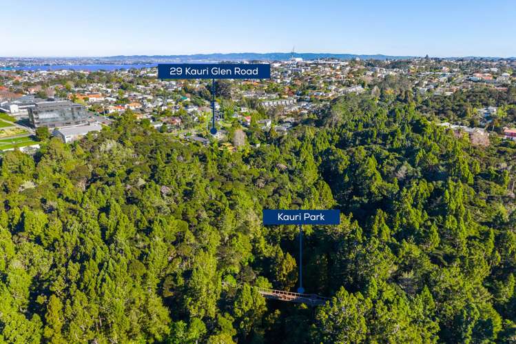 29 Kauri Glen Road Northcote_40