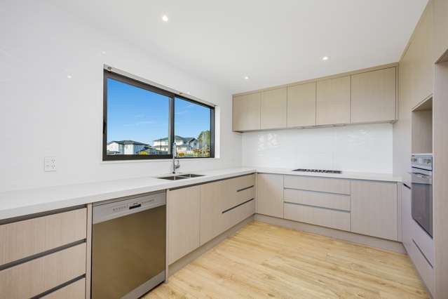 4 James Mcleod Way Silverdale_3